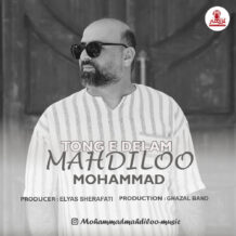 آهنگ جدید محمد مهدی لو به نام تُنگ دلم